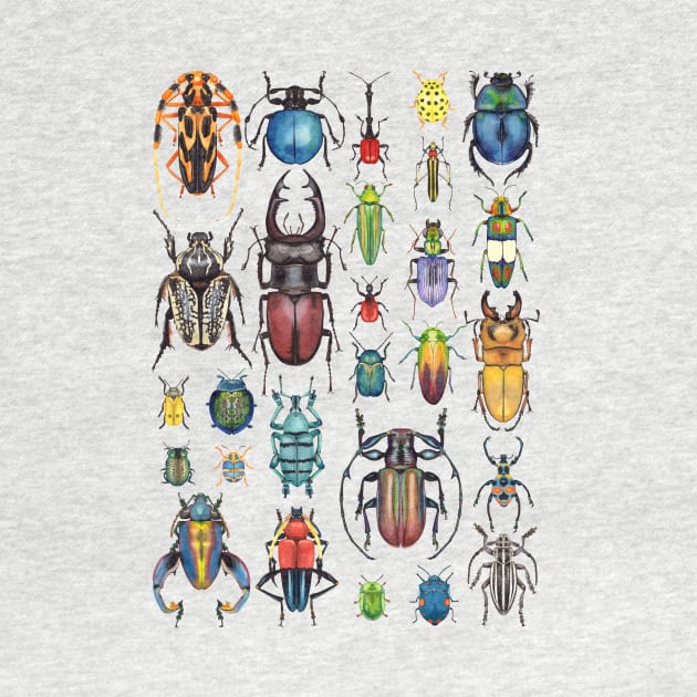 Beetle Collection by Oh Hokey Pokey